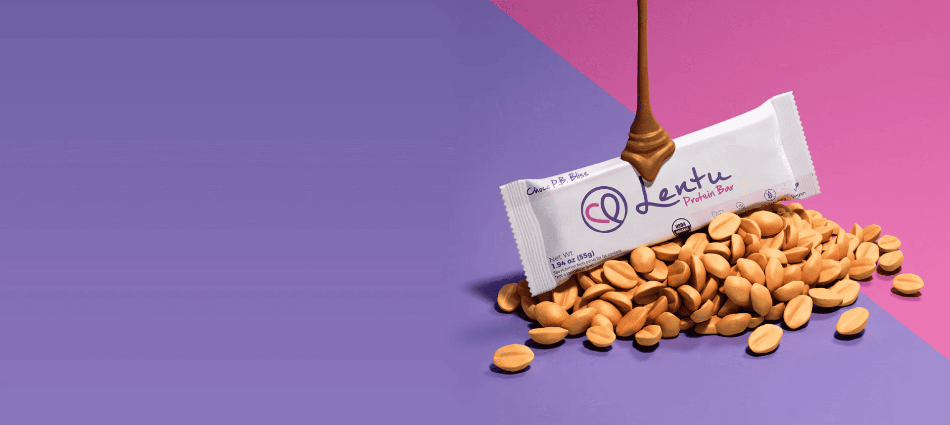lentu protine bar